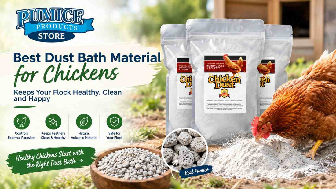 Best Dust Bath Material for Chickens: What to Use for a Clean, Dry Dust Bath