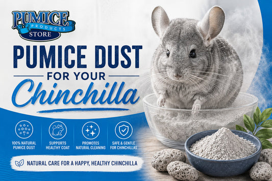Chinchilla Dust Bath Benefits