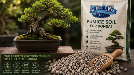 Pumice Soil for Bonsai: Choosing the Right Pumice Grade for Healthy Root Growth