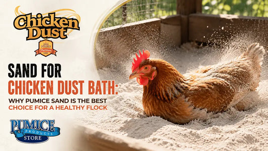Sand for Chicken Dust Bath: Why Pumice Sand Is the Best Choice for a Healthy Flock