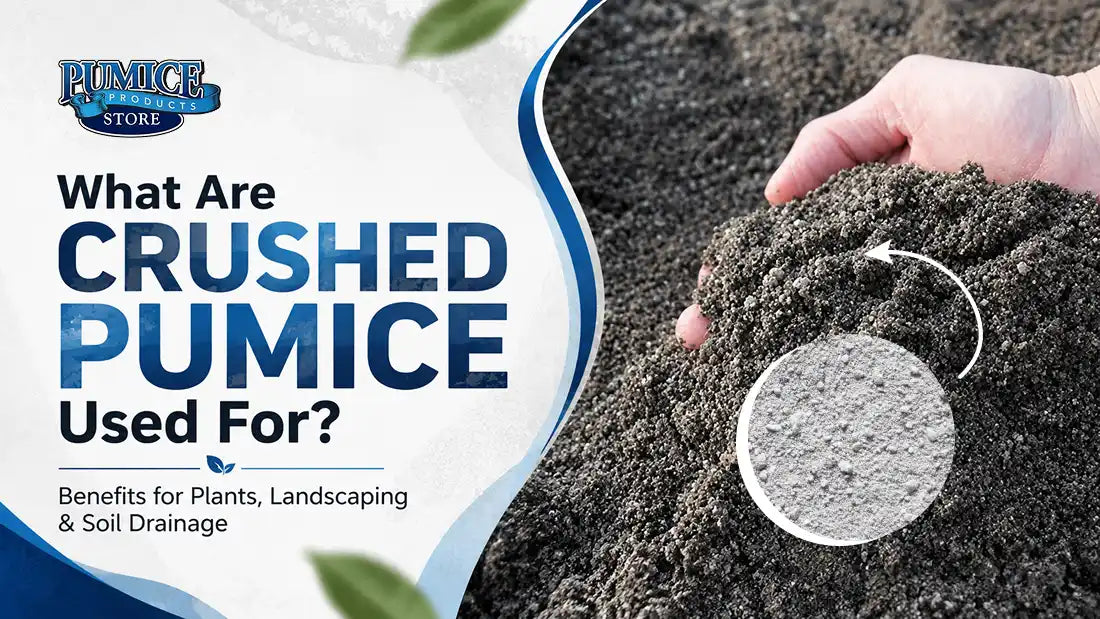What Are Crushed Pumice Used For? Benefits for Plants, Landscaping & Soil Drainage