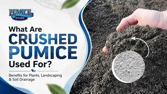 What Are Crushed Pumice Used For? Benefits for Plants, Landscaping & Soil Drainage