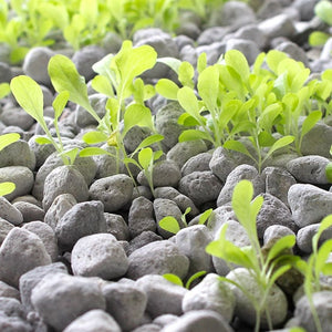Soilless Grow Media