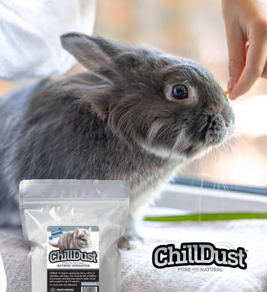 ChillDust