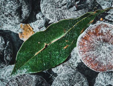Rust & Hard Water Stains