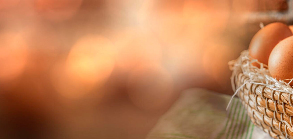 Basket of eggs with a blurred background