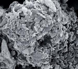 Microscope Photograph
