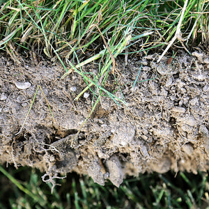 SoiRox™ Amender XF