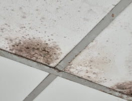 Rust Stains