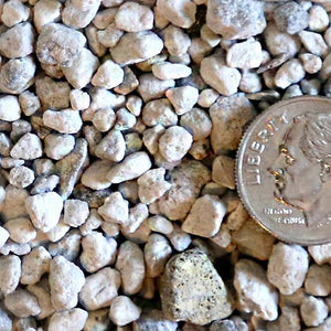 Rūtsu Eights