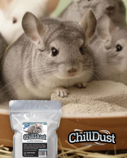 Simple Three-Step Dust Bath Routine