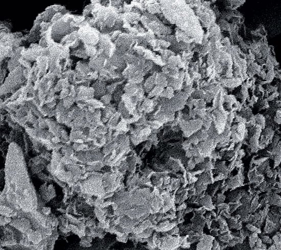 pumice grain at extreme magnification